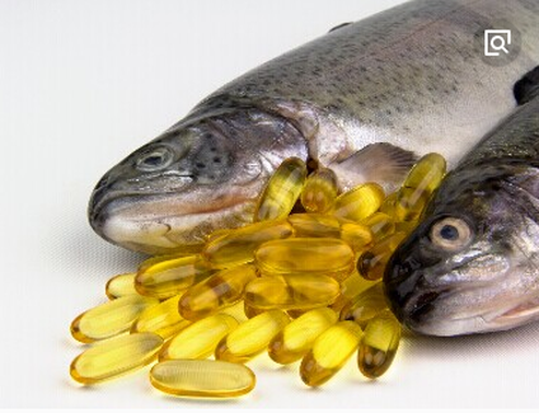 fish oil fish oil